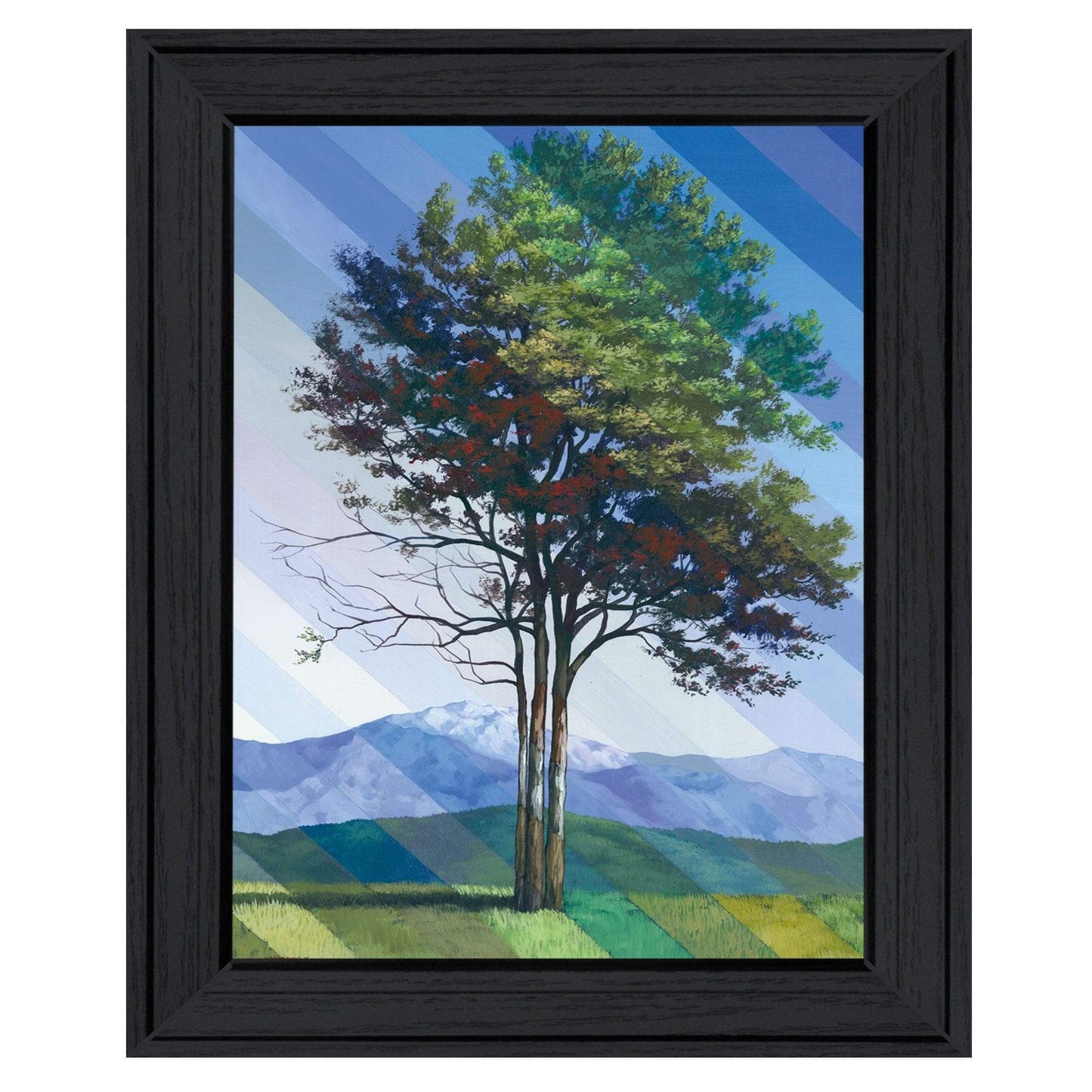 Catching Light as Time Passes 2 Black Framed Print Wall Art - Homeroots - Flyclothing LLC