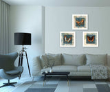 Set Of Three Butterflies White Framed Print Wall Art - Homeroots - Flyclothing LLC