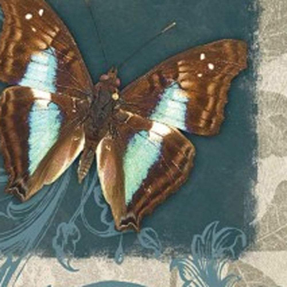 Set Of Three Butterflies White Framed Print Wall Art - Homeroots - Flyclothing LLC