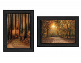 Set Of Two Autumn Black Framed Print Wall Art - Homeroots - Flyclothing LLC