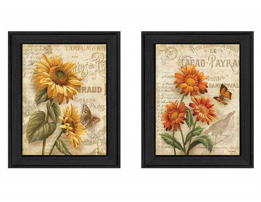 Set Of Two Flowers 2 Black Framed Print Wall Art - Homeroots - Flyclothing LLC