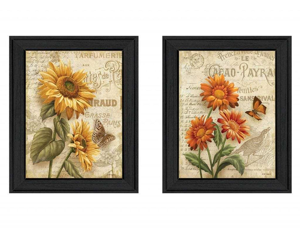Set Of Two Flowers 2 Black Framed Print Wall Art - Homeroots - Flyclothing LLC
