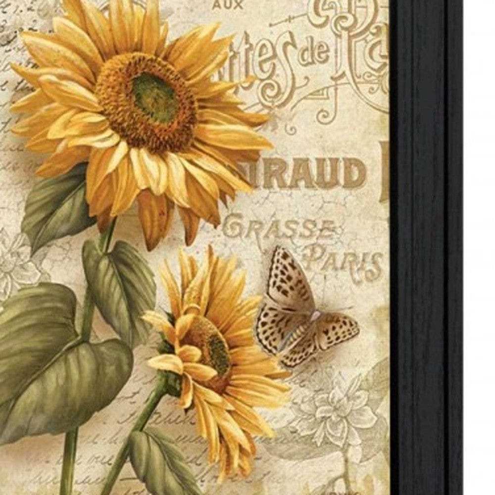 Set Of Two Flowers 2 Black Framed Print Wall Art - Homeroots - Flyclothing LLC