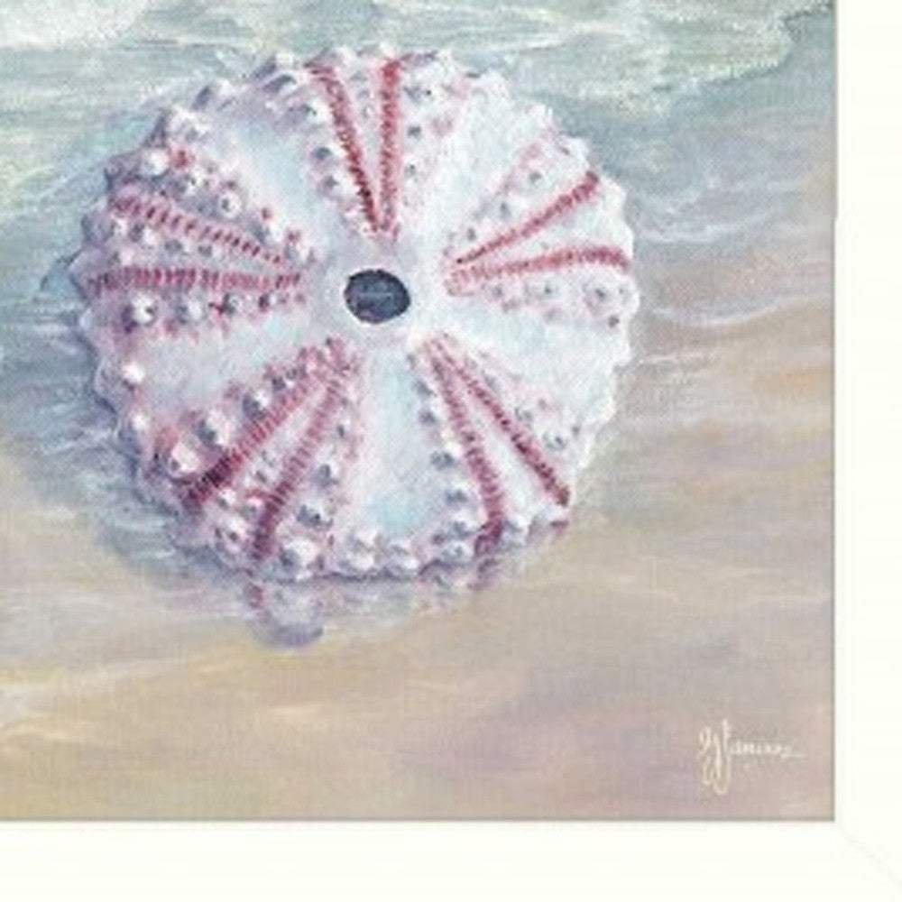 Set Of Three Shells I White Framed Print Bathroom Wall Art - Homeroots - Flyclothing LLC