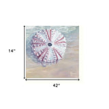Set Of Three Shells I White Framed Print Bathroom Wall Art - Homeroots - Flyclothing LLC