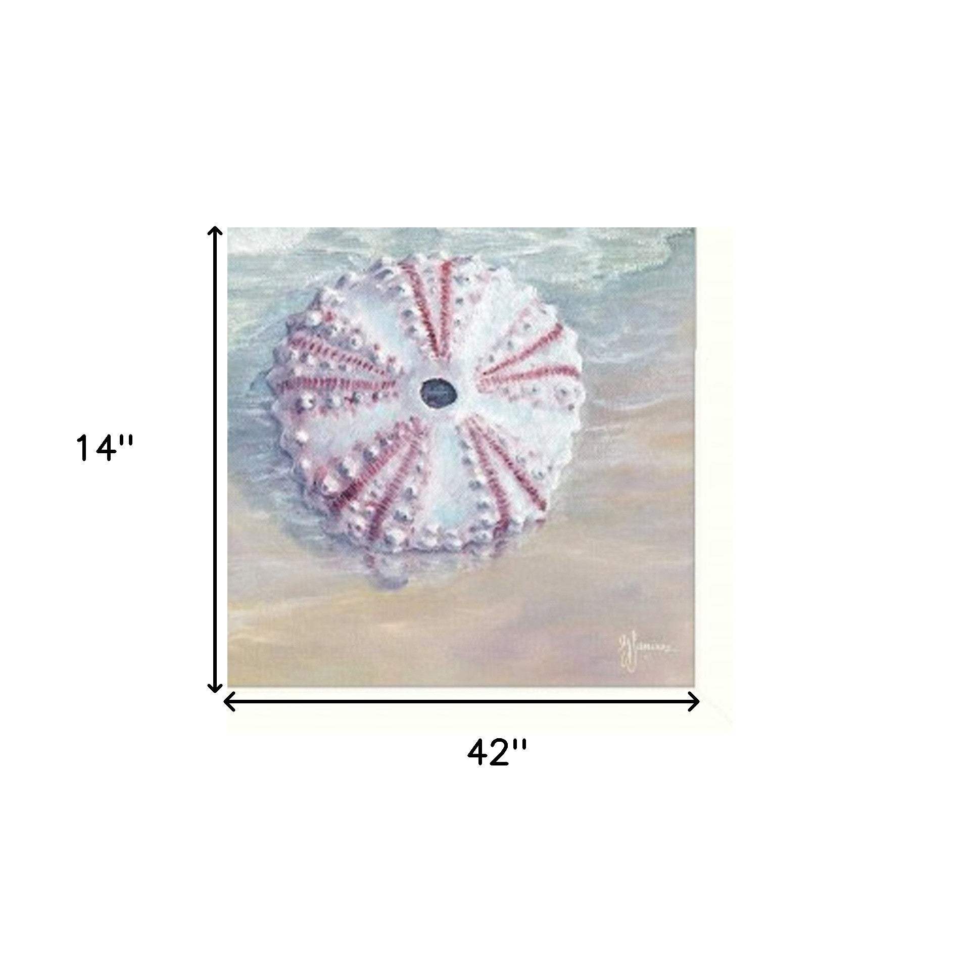 Set Of Three Shells I White Framed Print Bathroom Wall Art - Homeroots - Flyclothing LLC