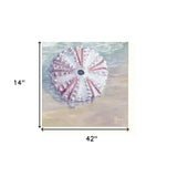 Set Of Three Shells I White Framed Print Bathroom Wall Art - Homeroots - Flyclothing LLC