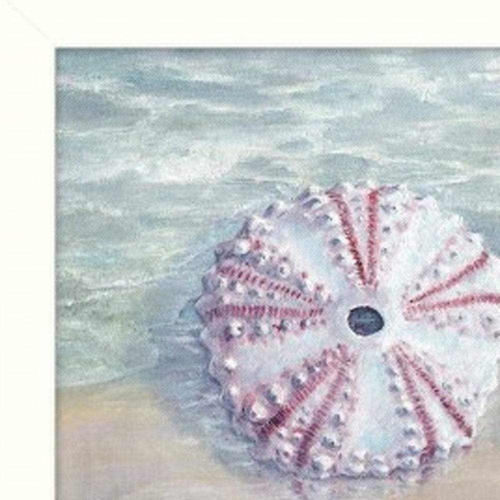 Set Of Three Shells I White Framed Print Bathroom Wall Art - Homeroots - Flyclothing LLC