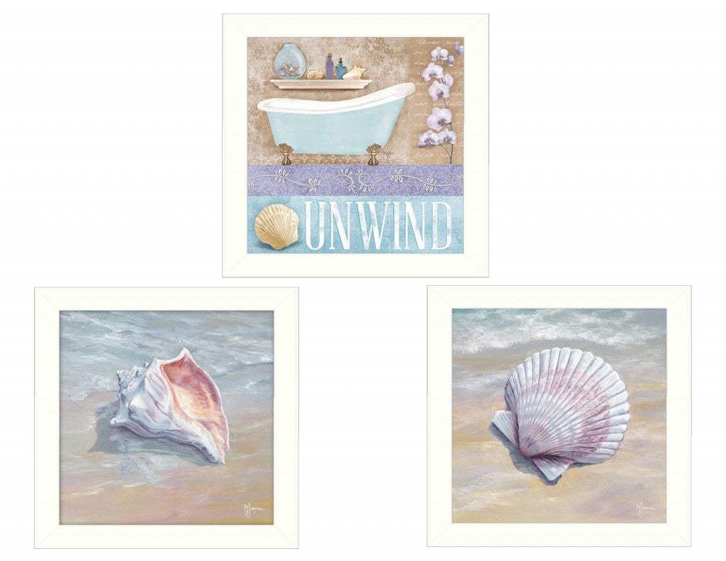 Set Of Three Shells II White Framed Print Bathroom Wall Art - Homeroots - Flyclothing LLC