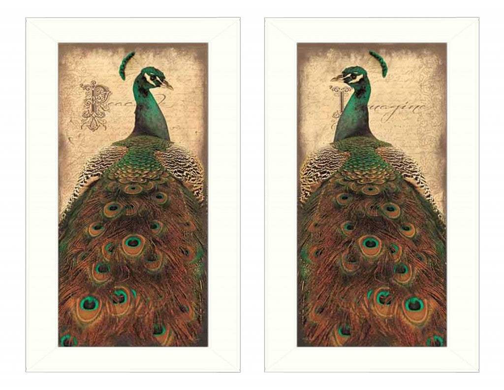 Set Of Two Peacock 1 White Framed Print Wall Art - Homeroots - Flyclothing LLC