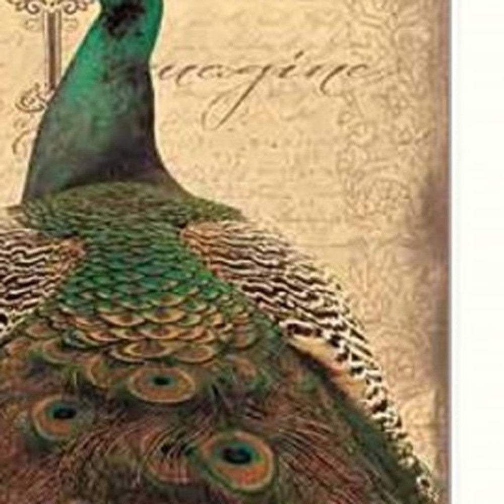 Set Of Two Peacock 1 White Framed Print Wall Art - Homeroots - Flyclothing LLC