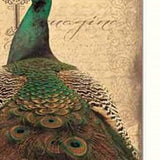 Set Of Two Peacock 1 White Framed Print Wall Art - Homeroots - Flyclothing LLC