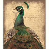 Set Of Two Peacock 1 White Framed Print Wall Art - Homeroots - Flyclothing LLC