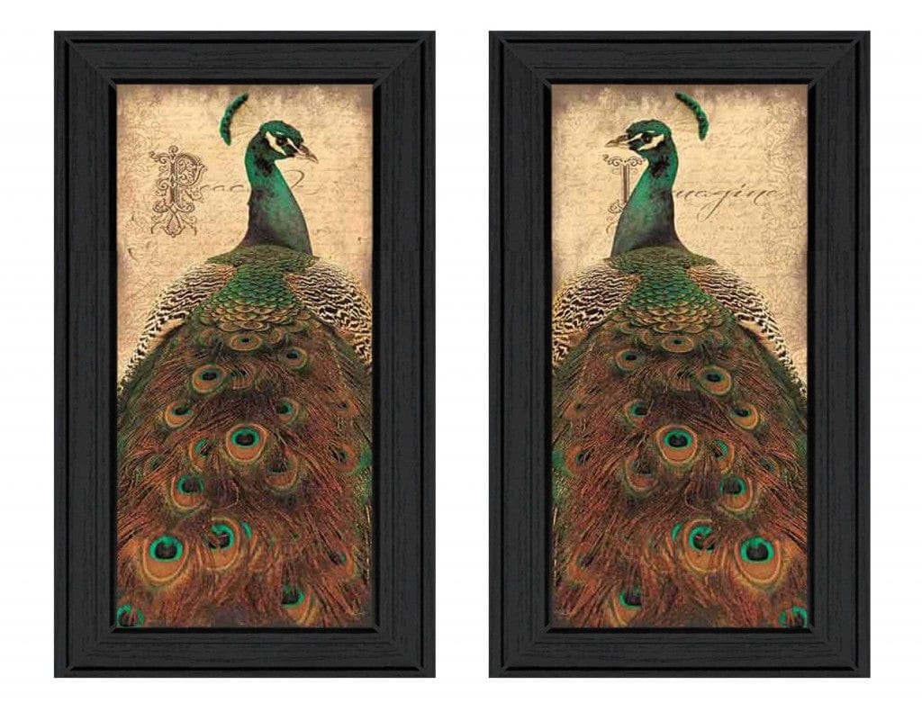 Set Of Two Peacock 2 Black Framed Print Wall Art - Homeroots