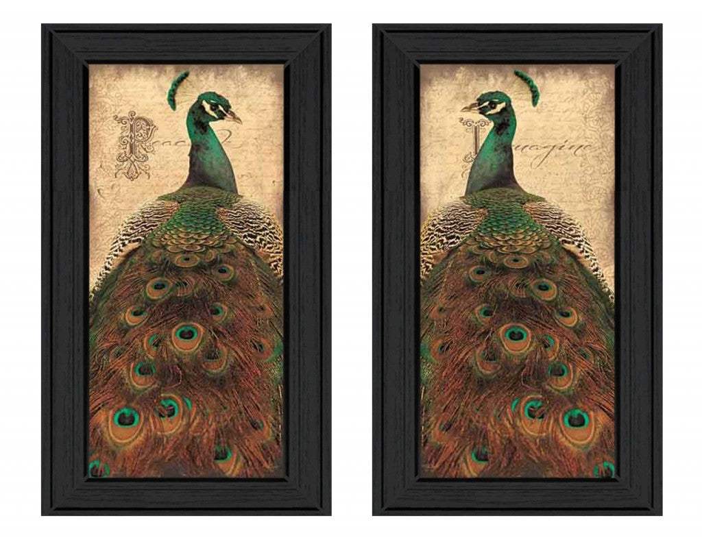 Set Of Two Peacock 2 Black Framed Print Wall Art - Homeroots - Flyclothing LLC