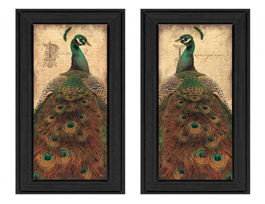 Set Of Two Peacock 2 Black Framed Print Wall Art - Homeroots