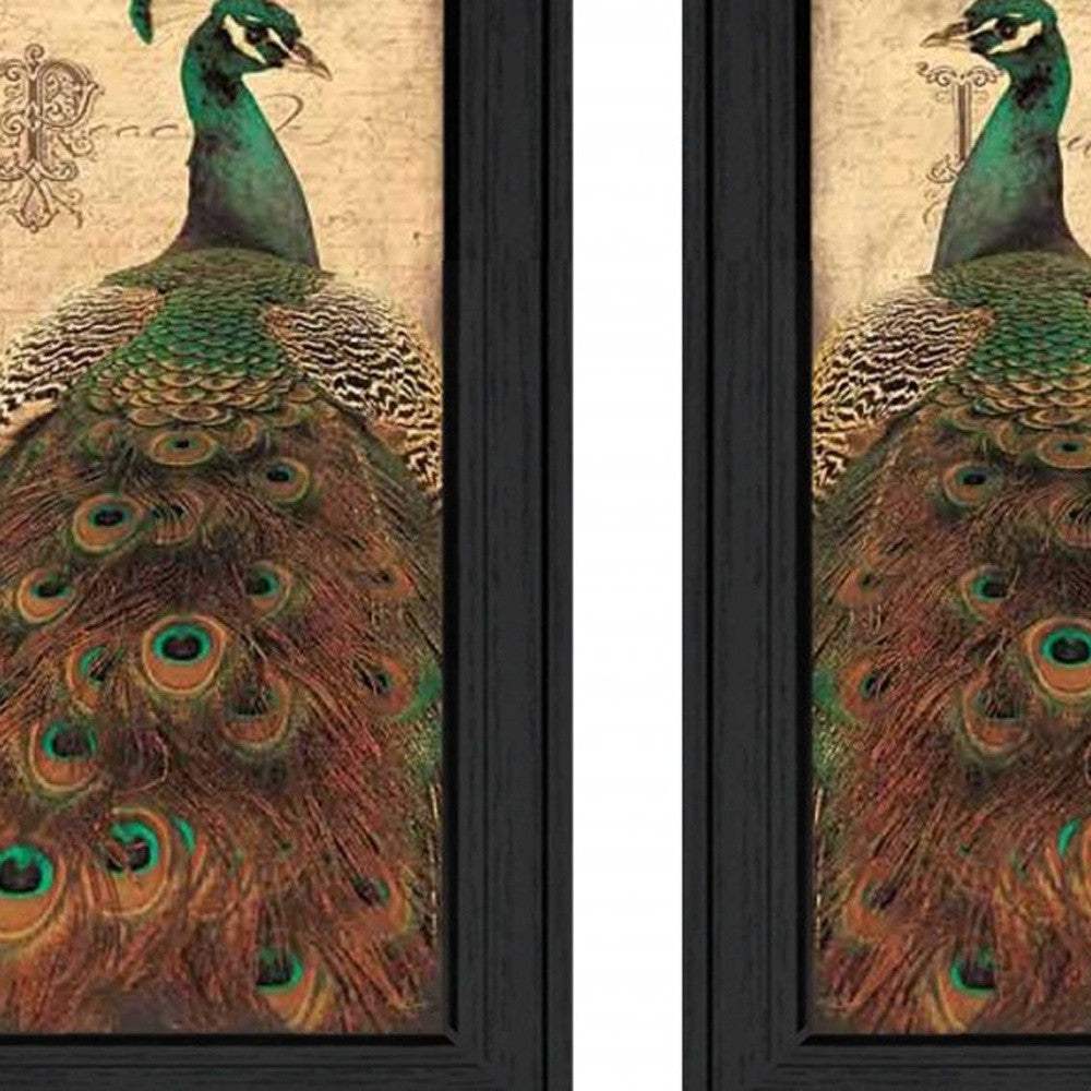 Set Of Two Peacock 2 Black Framed Print Wall Art - Homeroots - Flyclothing LLC