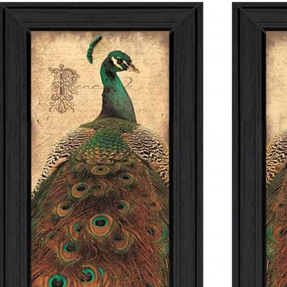 Set Of Two Peacock 2 Black Framed Print Wall Art - Homeroots