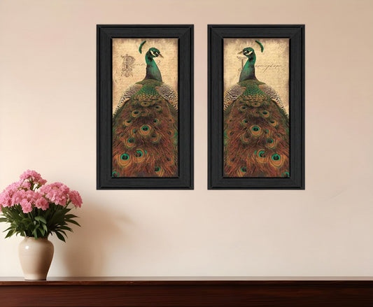 Set Of Two Peacock 2 Black Framed Print Wall Art - Homeroots