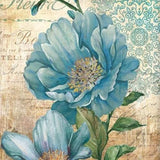 Set Of Two Paris Floral Postcard White Framed Print Wall Art - Homeroots - Flyclothing LLC