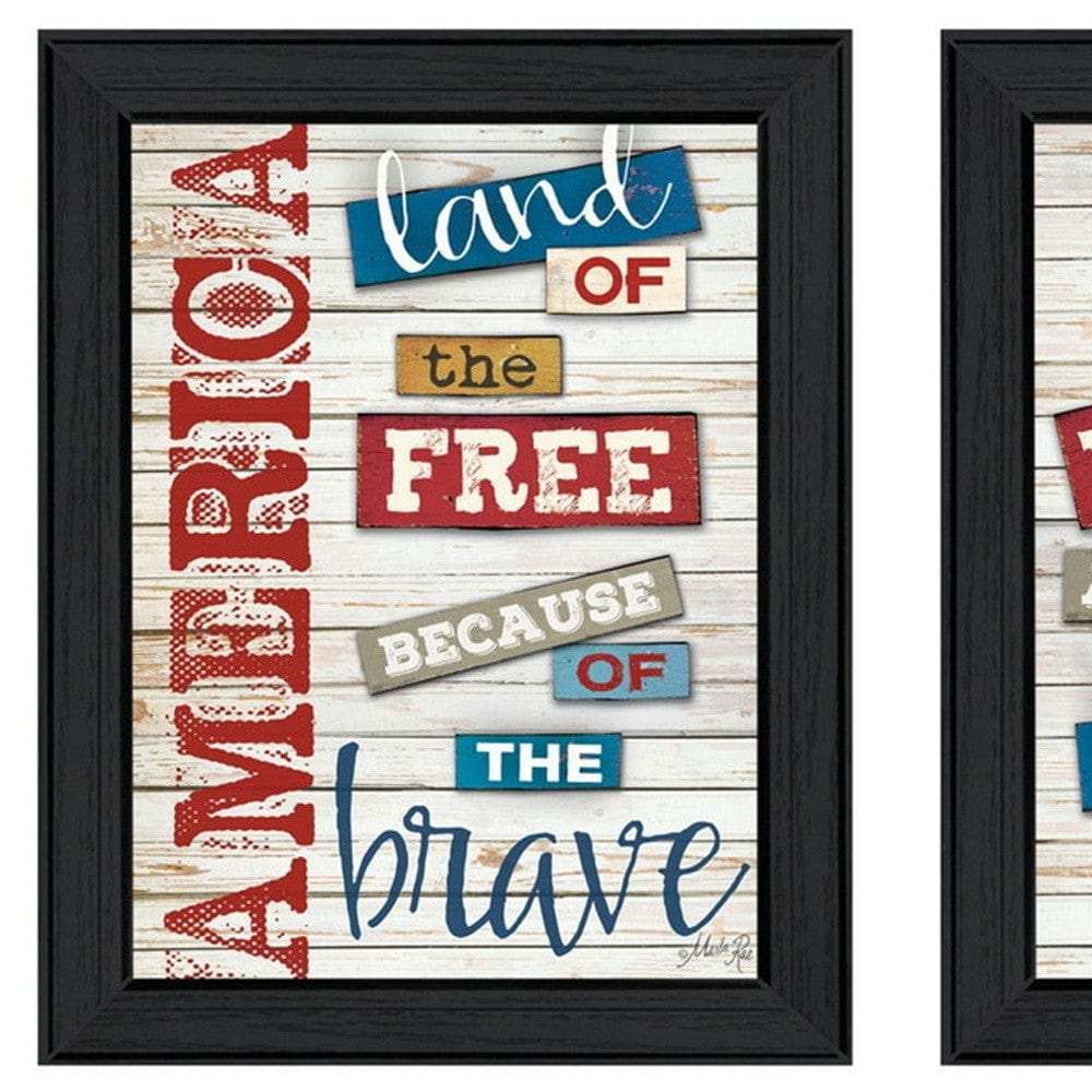 Set Of Two American 1 Black Framed Print Wall Art - Homeroots - Flyclothing LLC