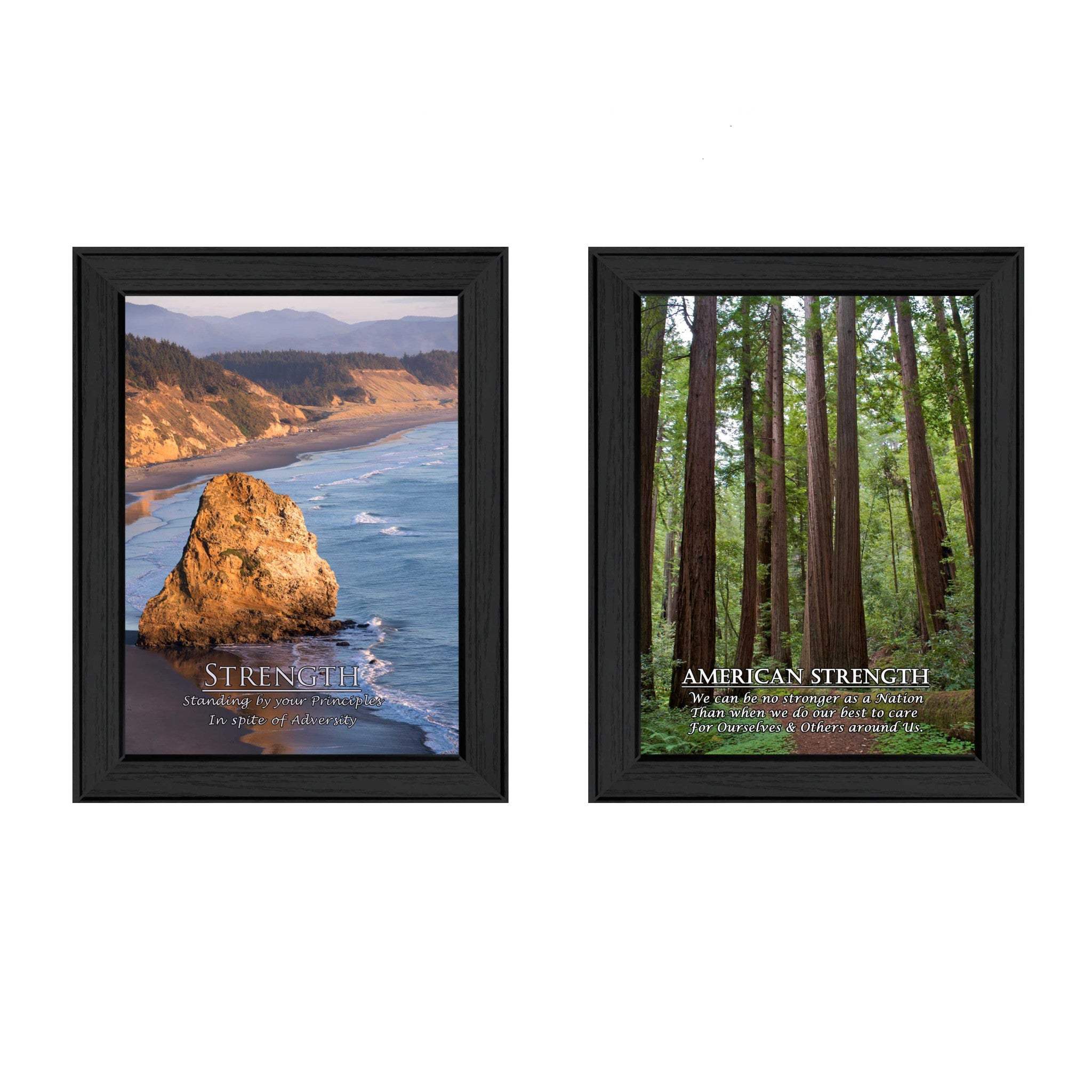 Set Of Two Strength 1 Black Framed Print Wall Art - Homeroots - Flyclothing LLC