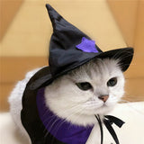 Pet Halloween Wizard Dressup Decoration Set - My Store - Flyclothing LLC