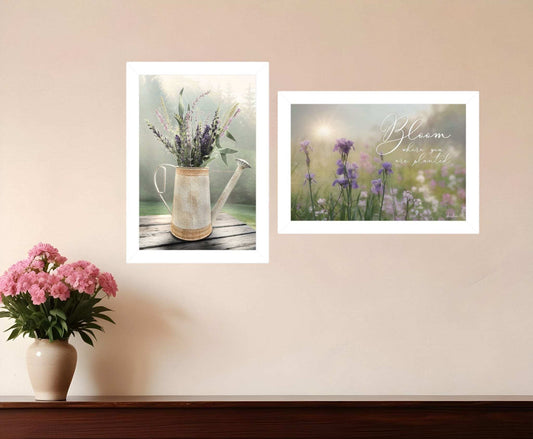 Set Of Two Bloom Where You are Planted 3 White Framed Print Wall Art - Homeroots - Flyclothing LLC