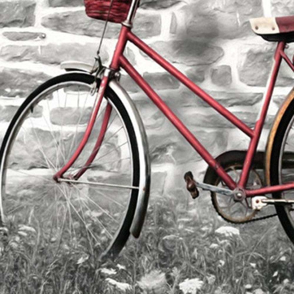 Set Of Two Romantic Bicycles 1 White Framed Print Wall Art - Homeroots - Flyclothing LLC
