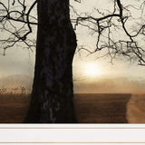 Set Of Two Enchanted Sunrise 1 White Framed Print Wall Art - Homeroots - Flyclothing LLC