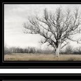 Set Of Two Ohio Fields I 2 Black Framed Print Wall Art - Homeroots