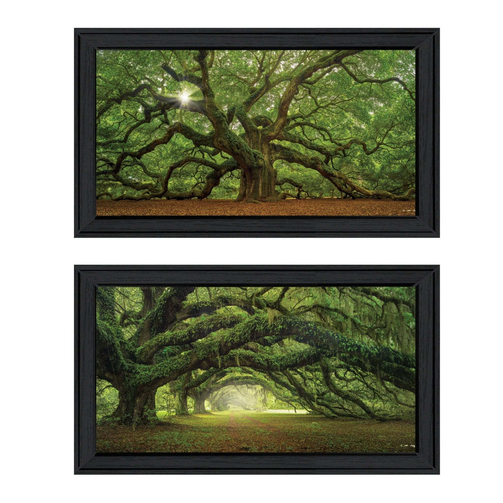 Set Of Two Tree Arbors by Moises Levy Black Frame Black Framed Print Wall Art - Homeroots - Flyclothing LLC