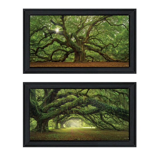 Set Of Two Tree Arbors by Moises Levy Black Frame Black Framed Print Wall Art - Homeroots - Flyclothing LLC
