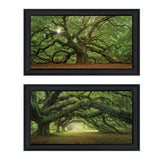 Set Of Two Tree Arbors by Moises Levy Black Frame Black Framed Print Wall Art - Homeroots - Flyclothing LLC