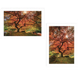 Set Of Two First Colors of Fall I White Framed Print Wall Art - Homeroots