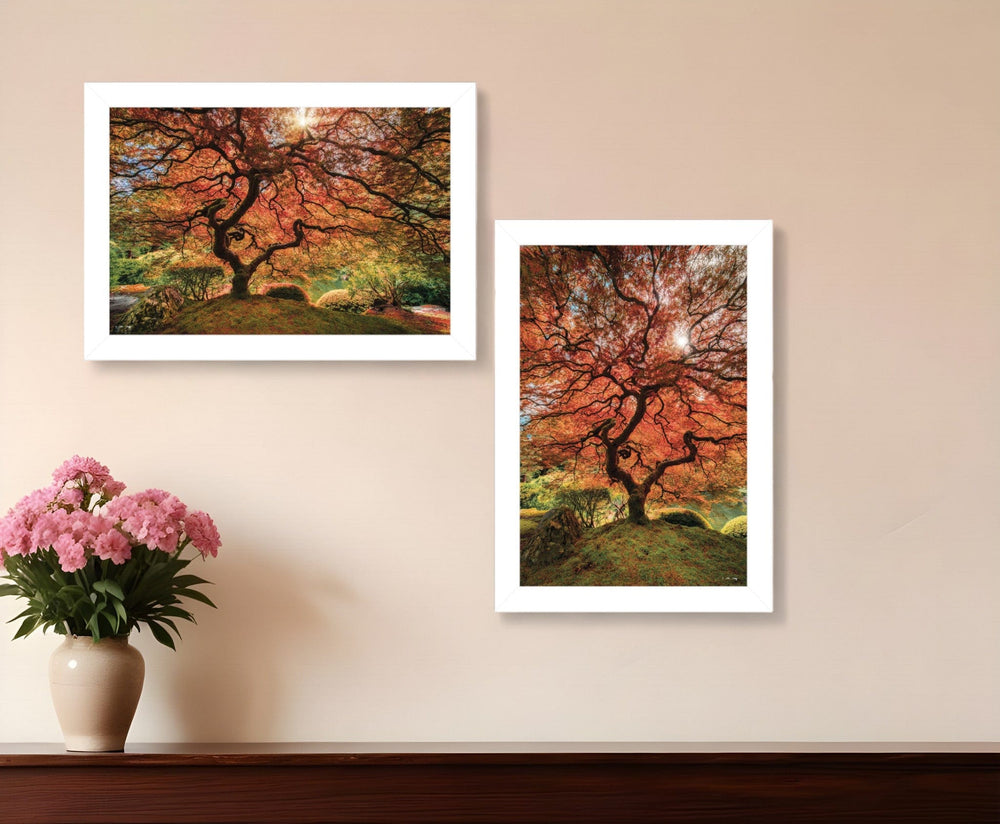 Set Of Two First Colors of Fall I White Framed Print Wall Art - Homeroots