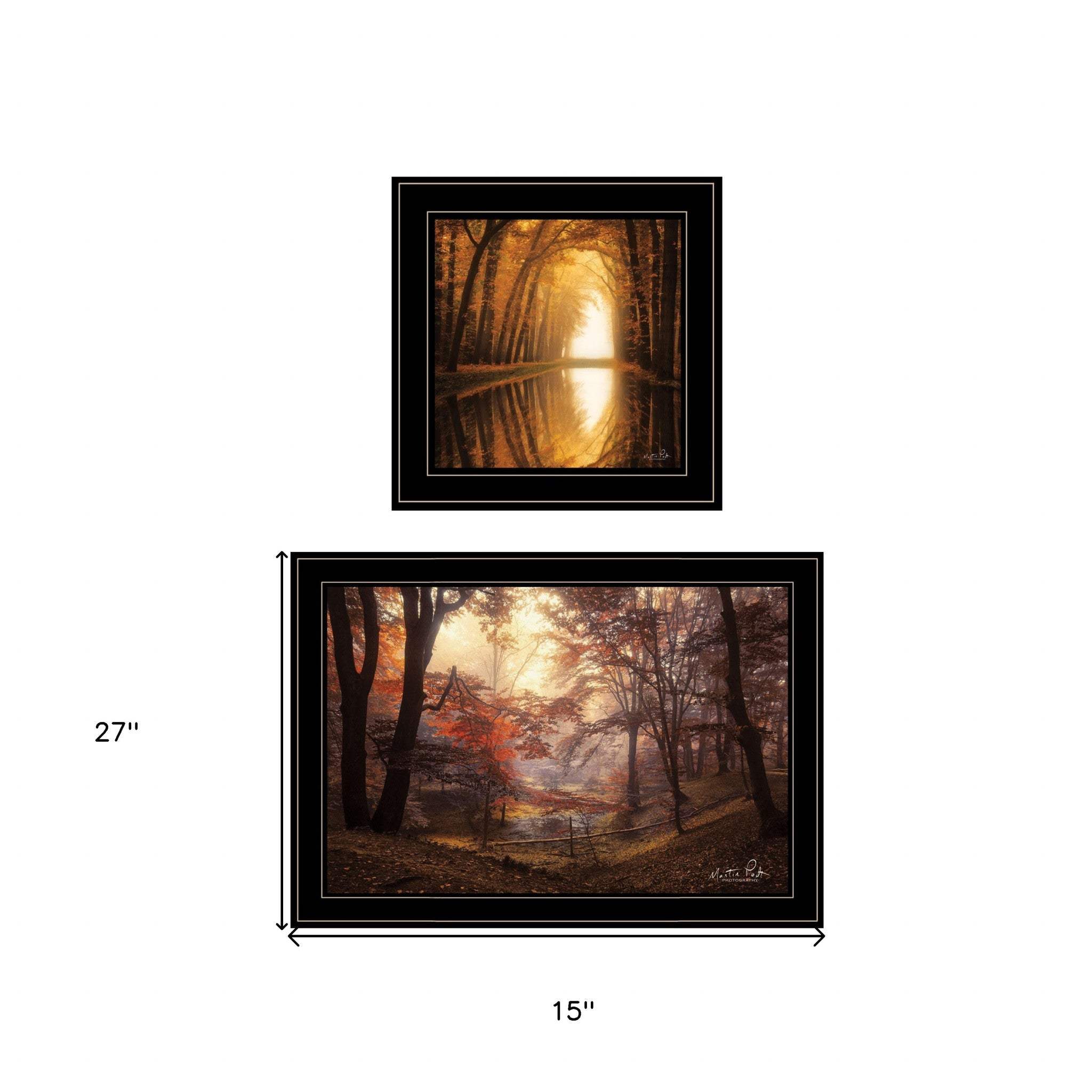 Set Of Two Natures Reflections 2 Black Framed Print Wall Art - Homeroots - Flyclothing LLC
