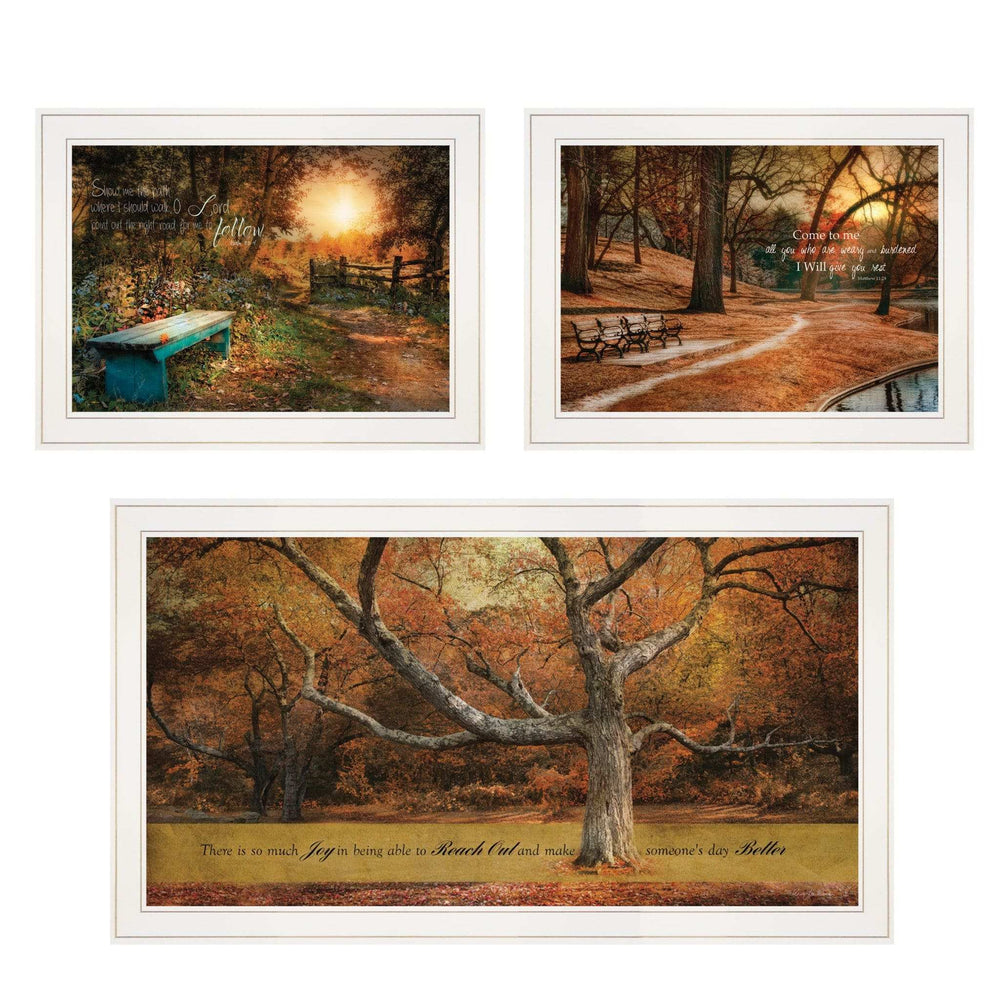 Set Of Three Tranquil Spaces 1 White Framed Print Wall Art - Homeroots - Flyclothing LLC
