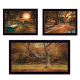 Set Of Three Tranquil Spaces 2 Black Framed Print Wall Art - Homeroots
