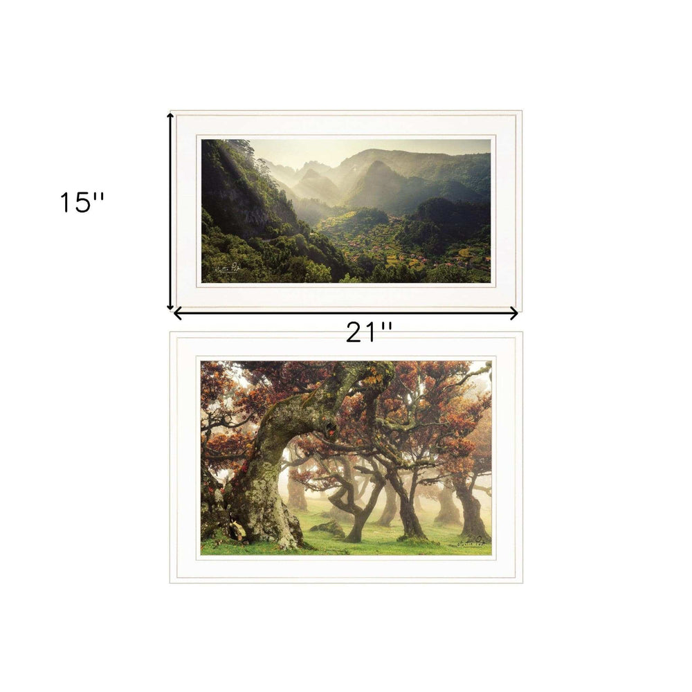 Set Of Two The Land of Hobbits 1 White Framed Print Wall Art - Homeroots - Flyclothing LLC