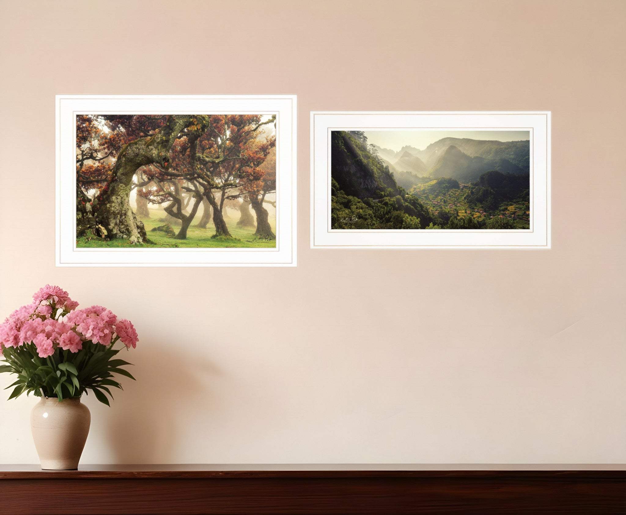 Set Of Two The Land of Hobbits 1 White Framed Print Wall Art - Homeroots - Flyclothing LLC