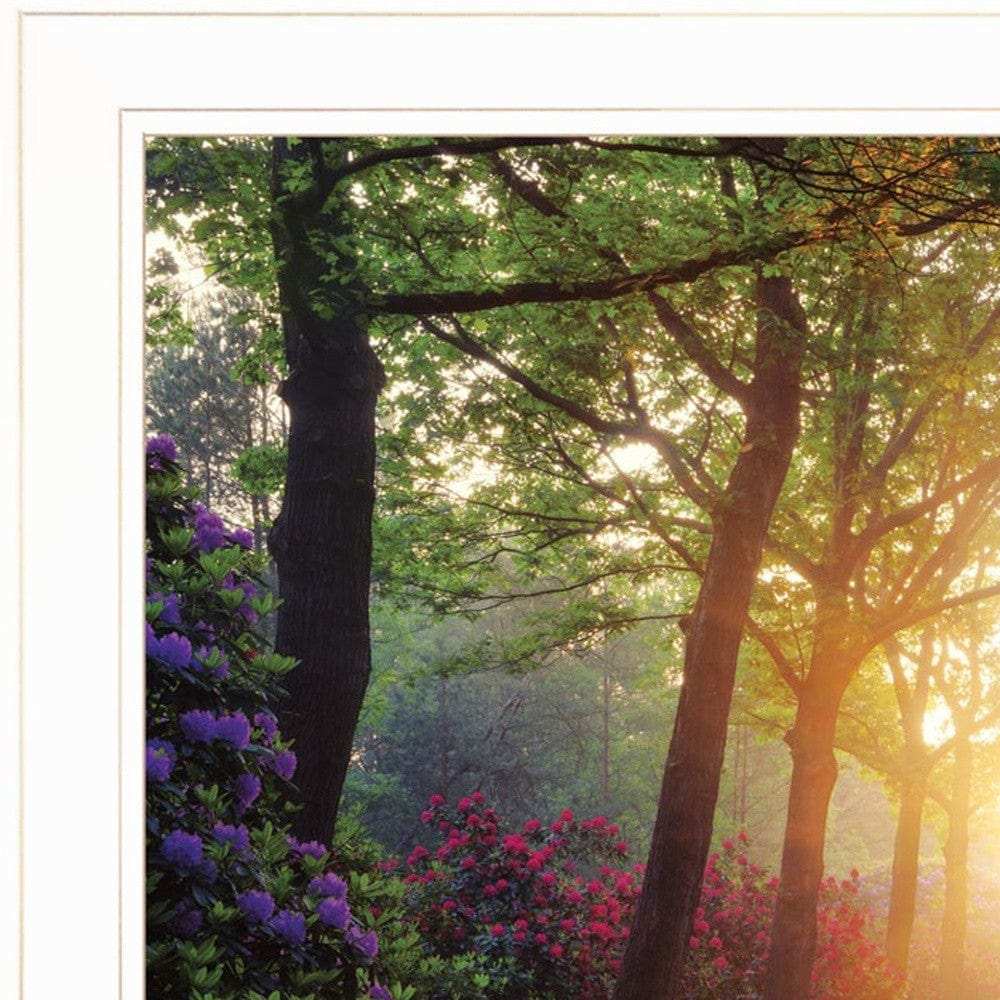 Set Of Two Path of Happiness 1 White Framed Print Wall Art - Homeroots - Flyclothing LLC