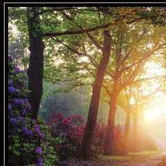 Set Of Two Path of Happiness 2 Black Framed Print Wall Art - Homeroots
