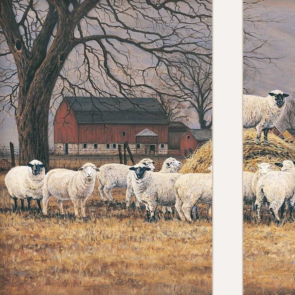 Wool Gathering 2 White Framed Print Wall Art - Homeroots - Flyclothing LLC
