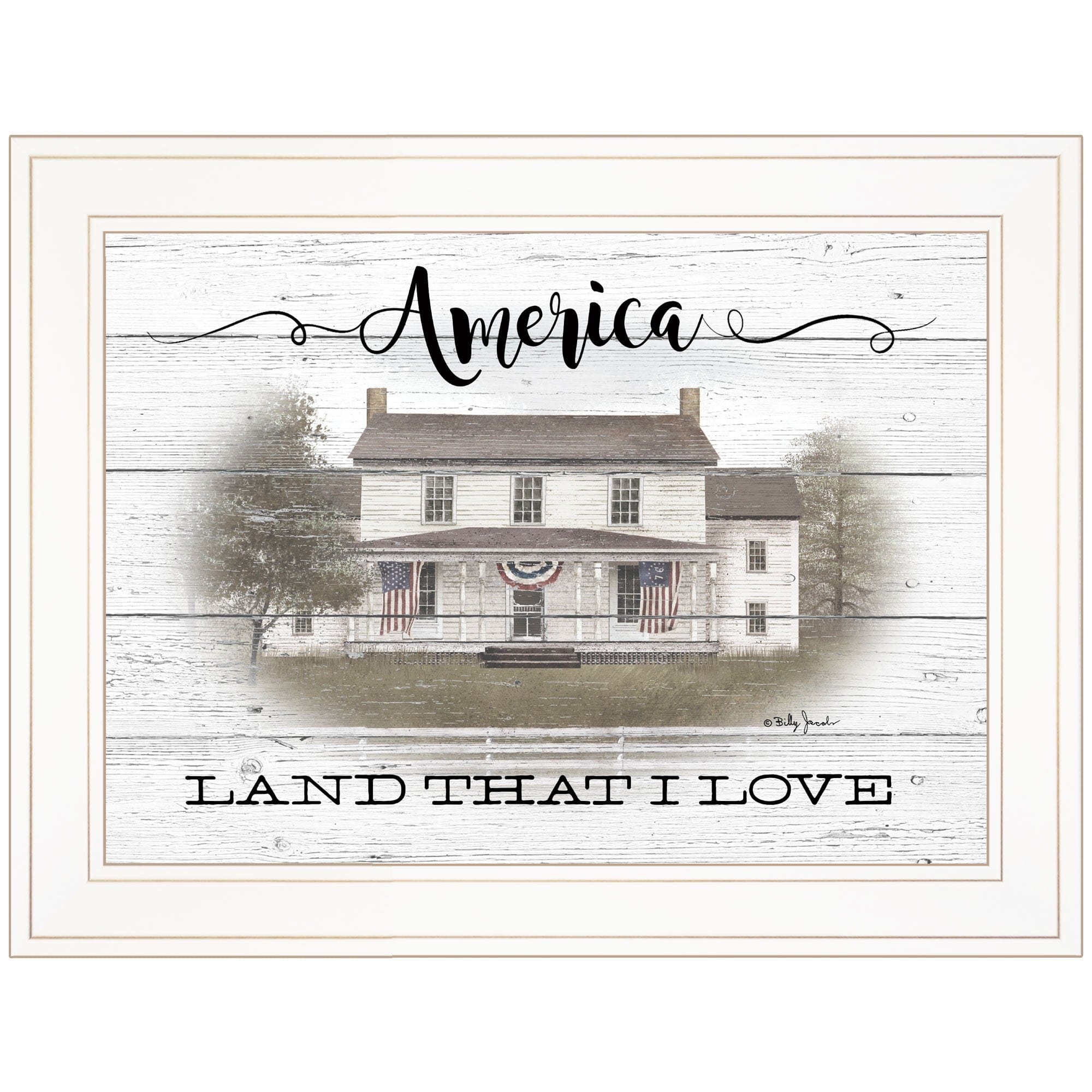 America 1 White Framed Print Wall Art - Homeroots