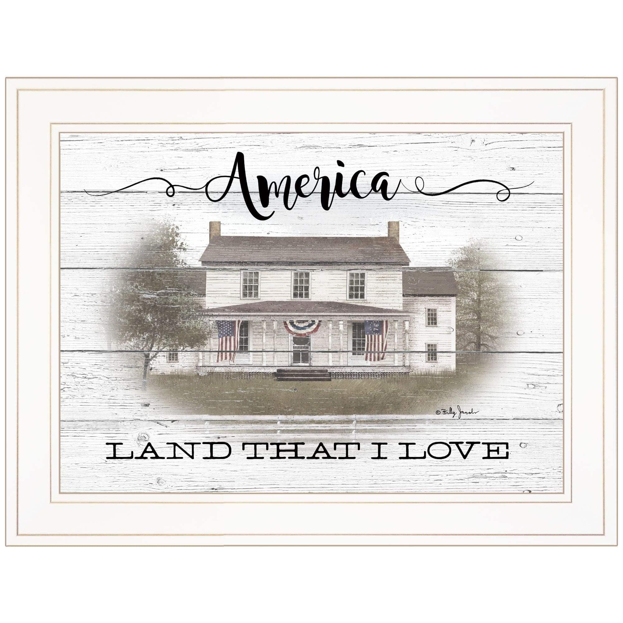 America 1 White Framed Print Wall Art - Homeroots - Flyclothing LLC