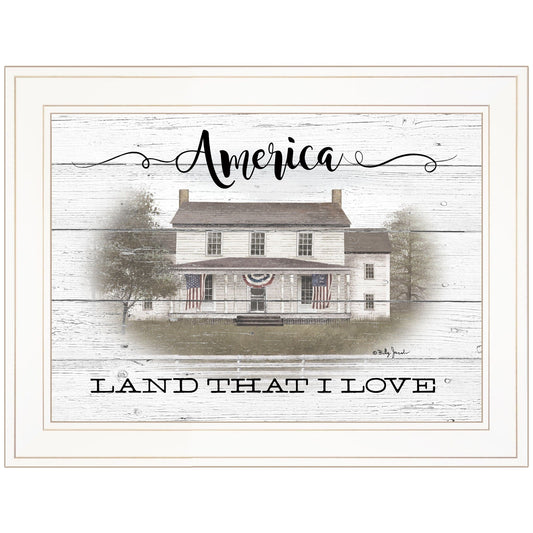 America 1 White Framed Print Wall Art - Homeroots