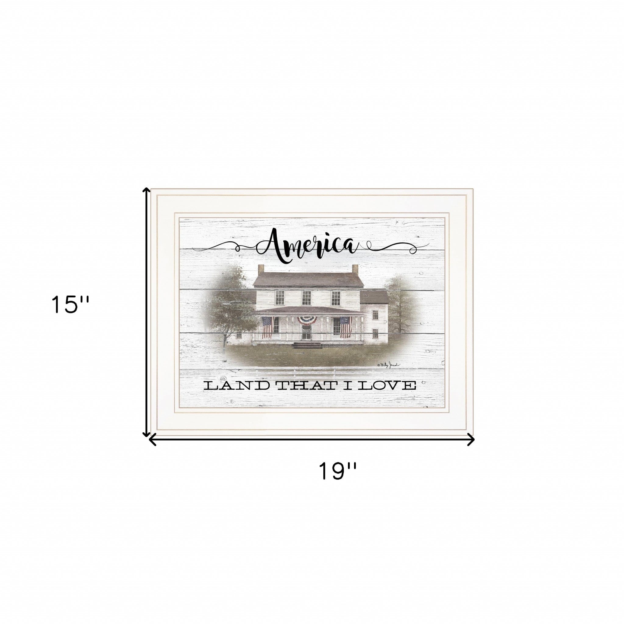 America 1 White Framed Print Wall Art - Homeroots