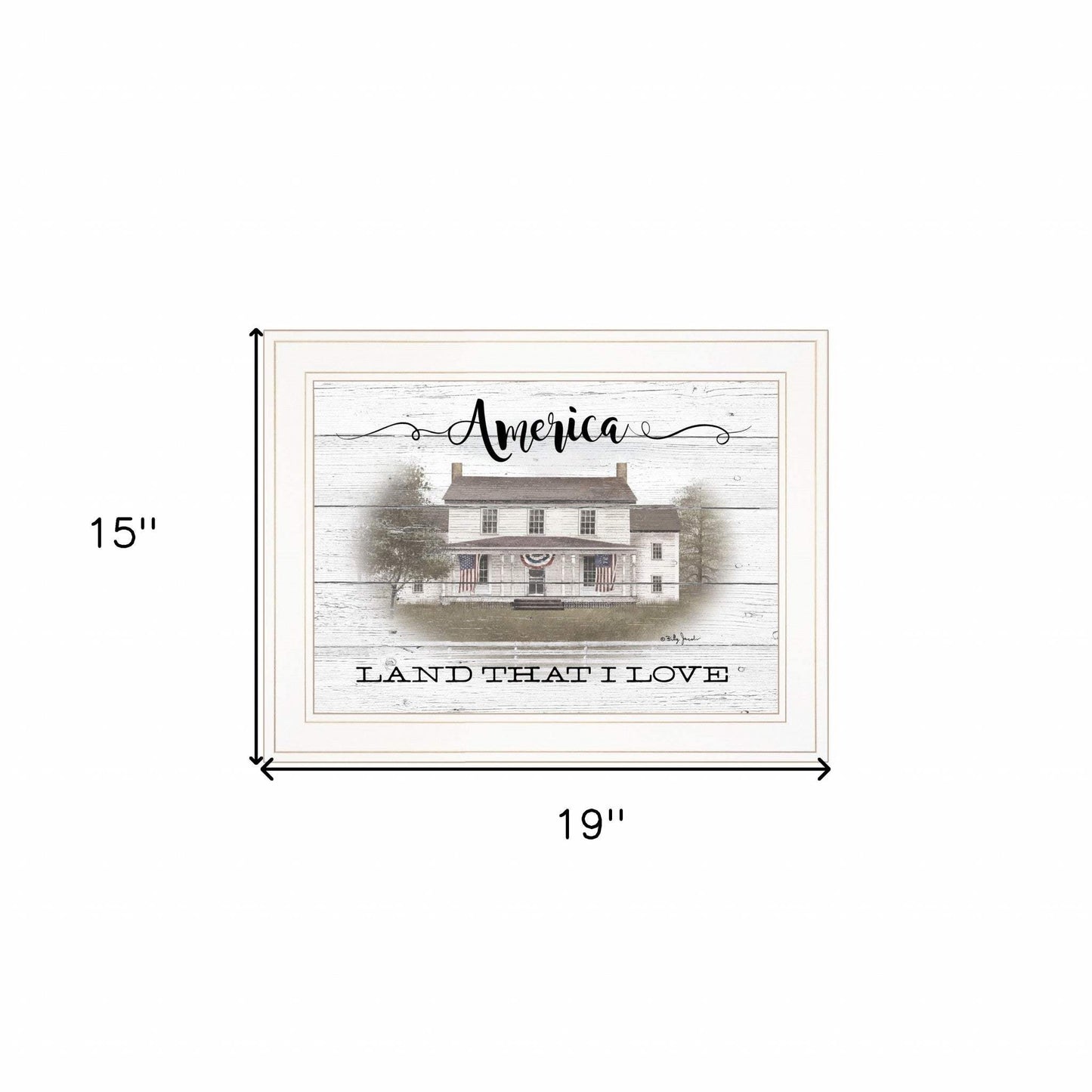 America 1 White Framed Print Wall Art - Homeroots - Flyclothing LLC