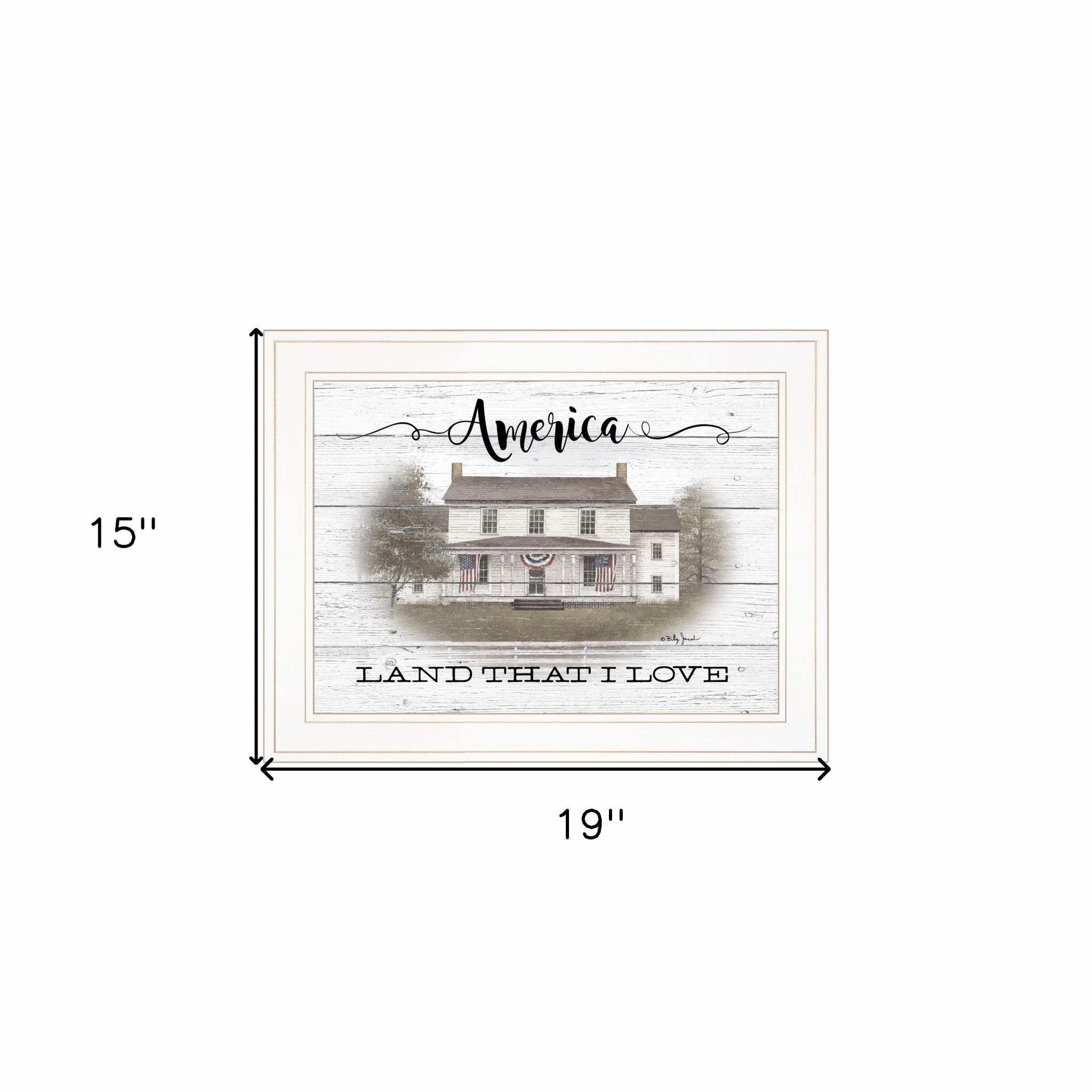 America 1 White Framed Print Wall Art - Homeroots - Flyclothing LLC